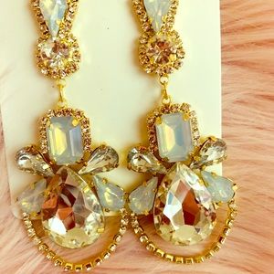 Absolutely stunning Earrings